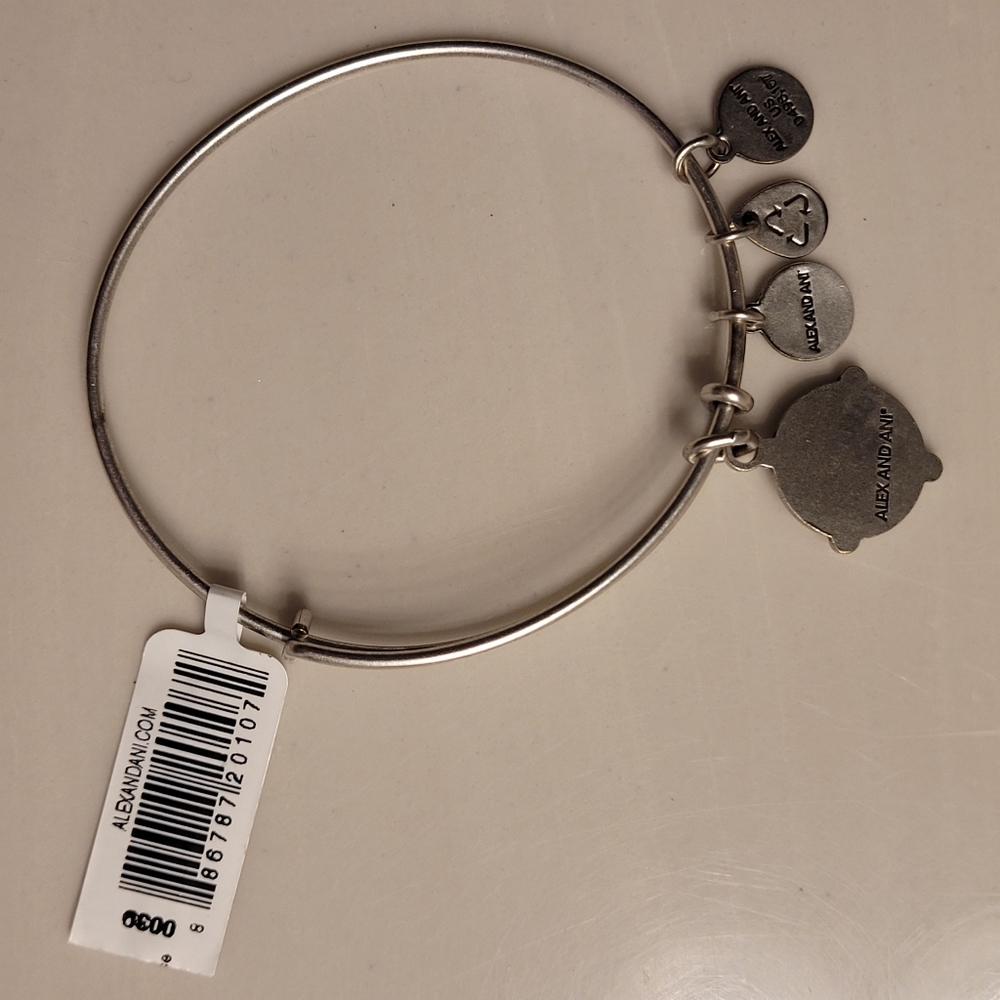 Alex & Ani Friends Are The Family You Choose Charm Bangle Bracelet Silver-tone - Picture 12 of 16